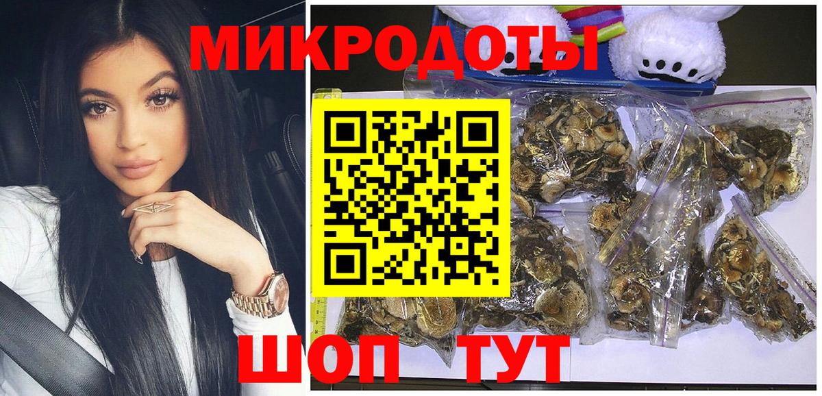 Галлюциногенные грибы мицелий Переславль-Залесский