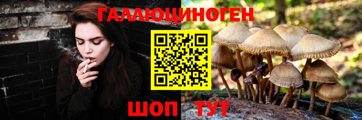 Переславль-Залесский  Галлюциногенные грибы Psilocybine cubensis  Псилоцибиновые грибы GOLDEN TEACHER  Вход с VPN 